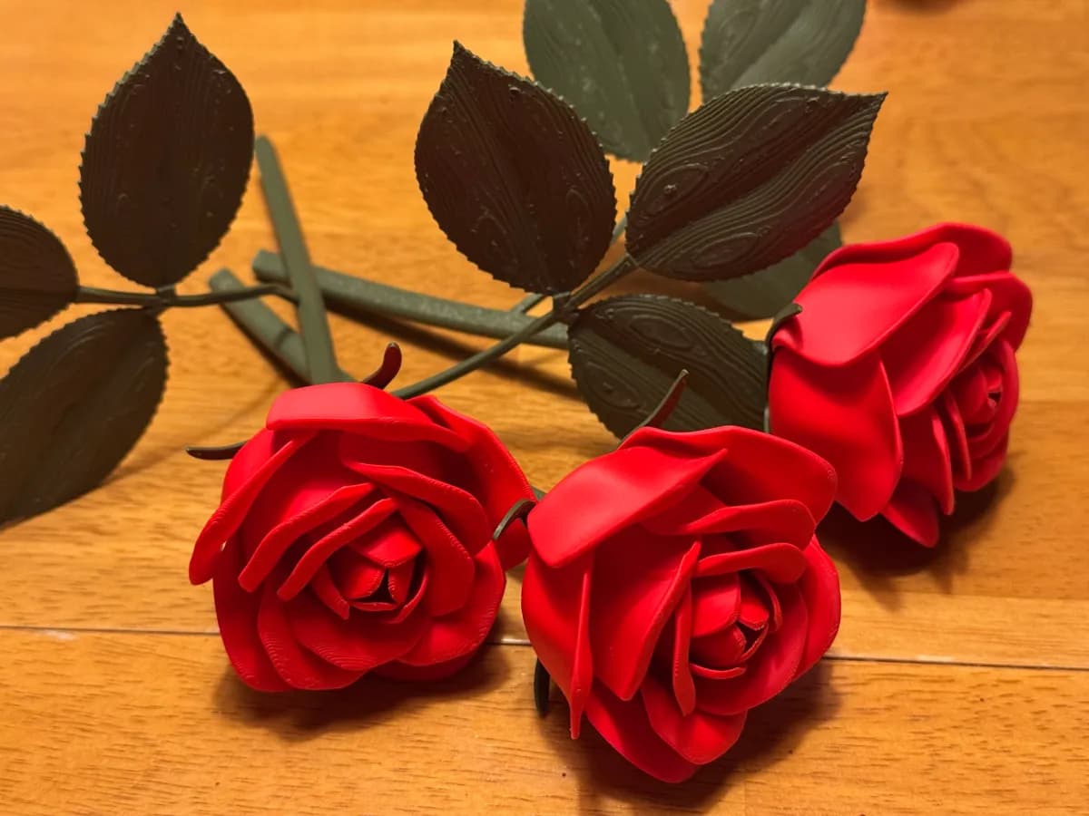 Rosas com Hastes Variadas