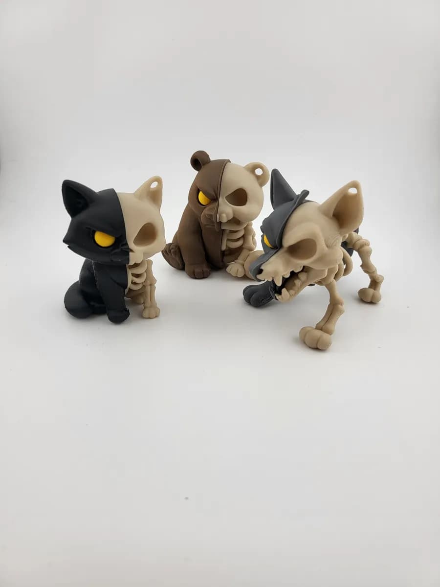 Esqueleto Fóssil de Charizard