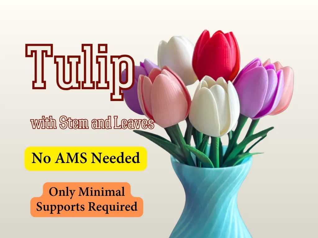 Tulipa com Haste
