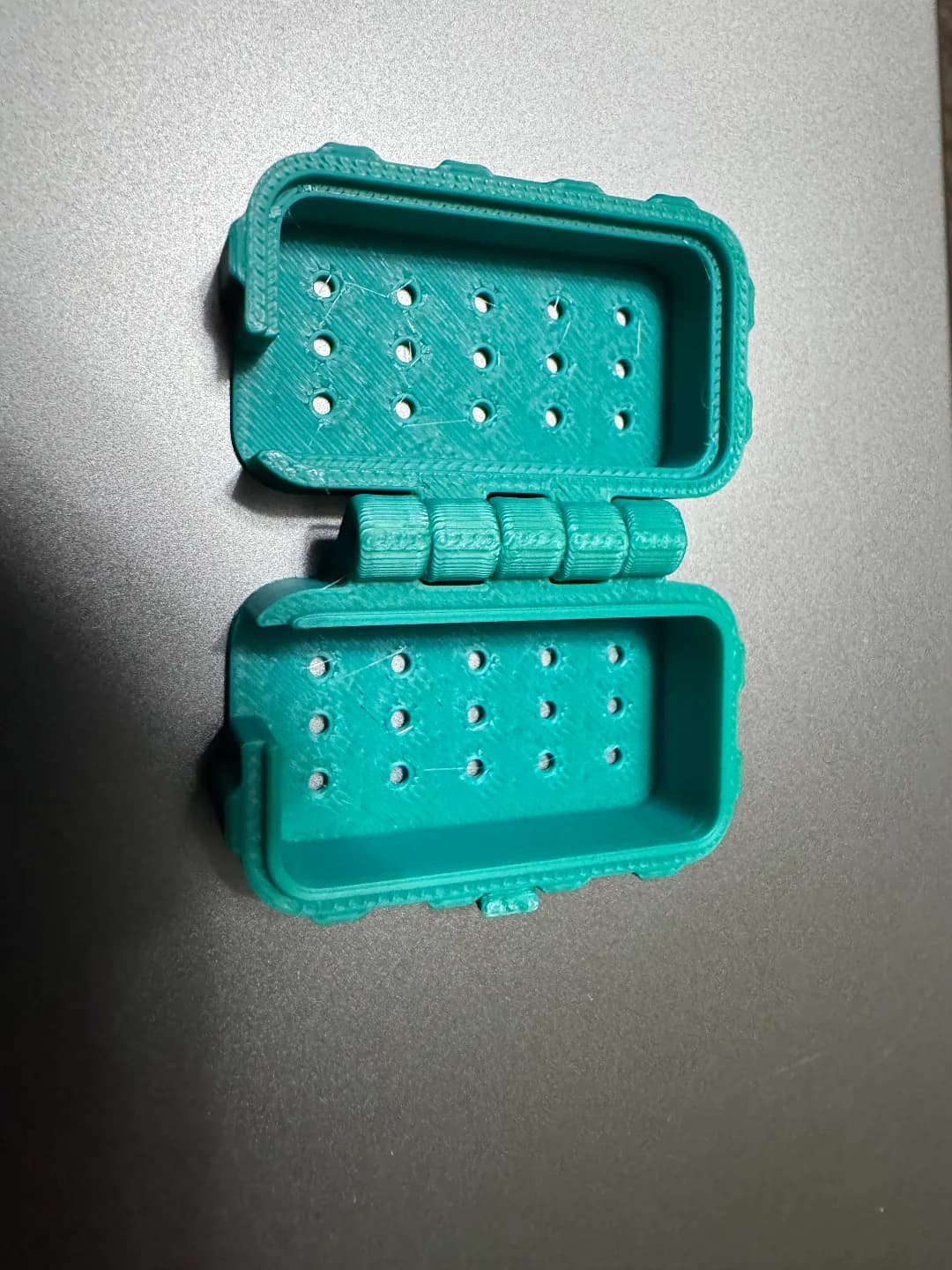 Estojo de Escova de Dente de Viagem