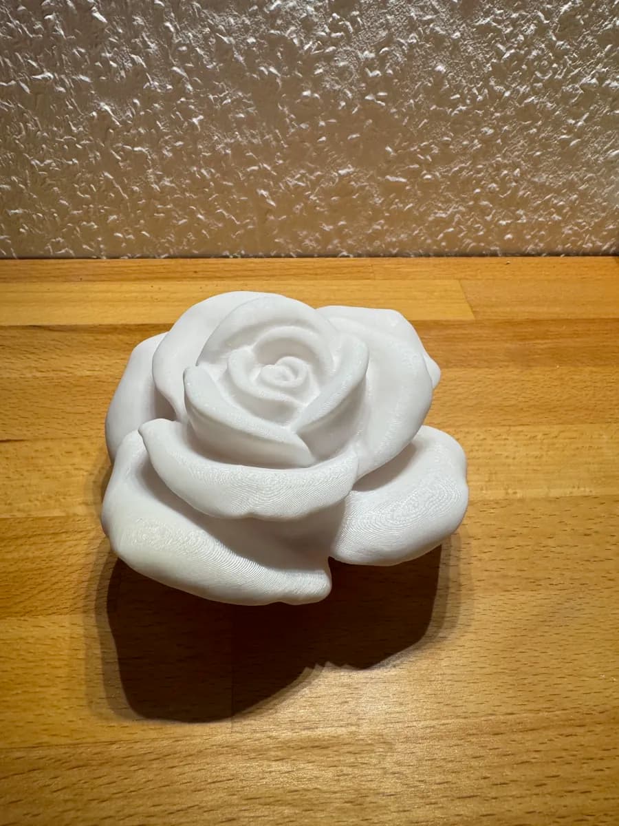 Rosa Decorativa